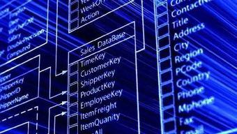 數(shù)據(jù)驅(qū)動(dòng)未來(lái) 一所值得你首選的大學(xué)如何打造卓越的數(shù)據(jù)處理與存儲(chǔ)支持服務(wù)